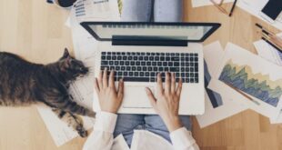 Best Home Business to Start