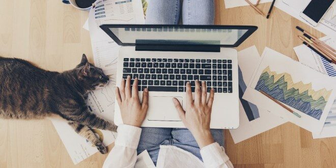 Best Home Business to Start