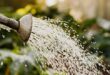 Best Irrigation Companies Near Me