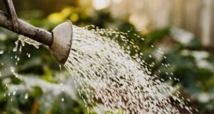Best Irrigation Companies Near Me