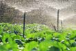Choosing an Irrigation Companies Near Me: Applying an Irrigation System