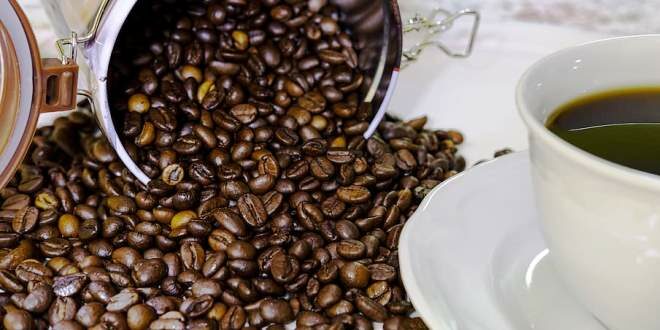 Considerations for Coffee Suppliers for Small Businesses Near Me