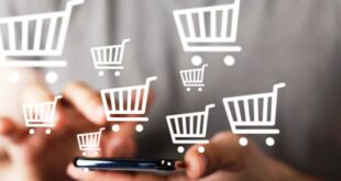 Ecommerce Solutions for Small Business Ultimate Guide for Beginner