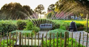 Landscape Irrigation Companies Near Me