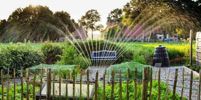 Landscape Irrigation Companies Near Me