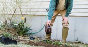 Residential Irrigation Companies Near Me
