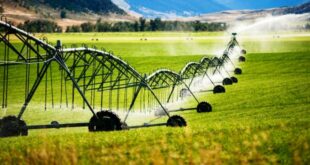 Services That a Good Agriculture Irrigation Companies Near Me Provide