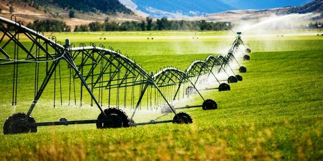 Services That a Good Agriculture Irrigation Companies Near Me Provide