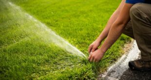 The Importance of Researching Irrigation Companies Near Me Reviews