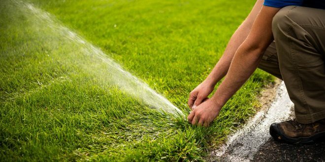 The Importance of Researching Irrigation Companies Near Me Reviews