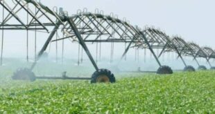 The Ultimate Guide to Choosing Drainage and Irrigation Companies Near Me