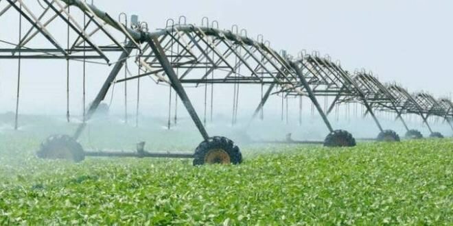 The Ultimate Guide to Choosing Drainage and Irrigation Companies Near Me