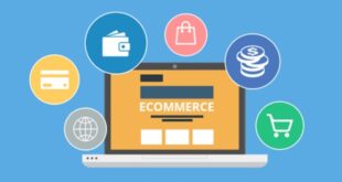 Things to Consider Before Choosing Your E commerce Solutions for Small Business