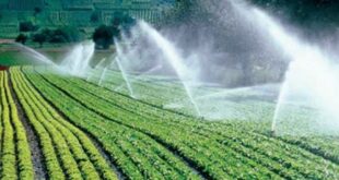 Tips For Choosing the Best Sprinkler Irrigation Companies Near Me
