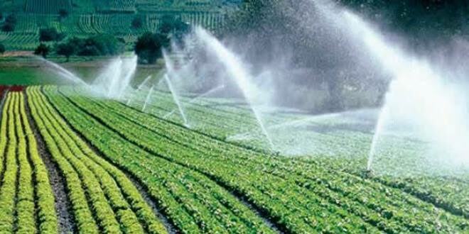 Tips For Choosing the Best Sprinkler Irrigation Companies Near Me