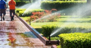 Top Rated Irrigation Companies Near Me, How to Choose