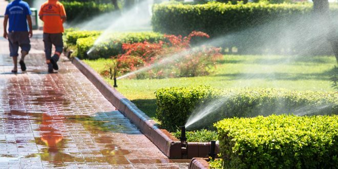 Top Rated Irrigation Companies Near Me, How to Choose