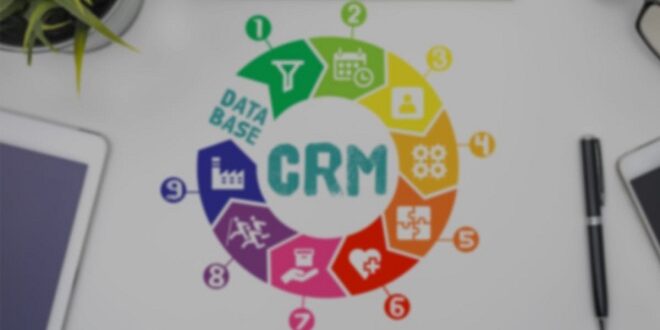 Choosing the Best Business Management CRM